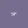 SPY (bStocks Tokenized Stock)